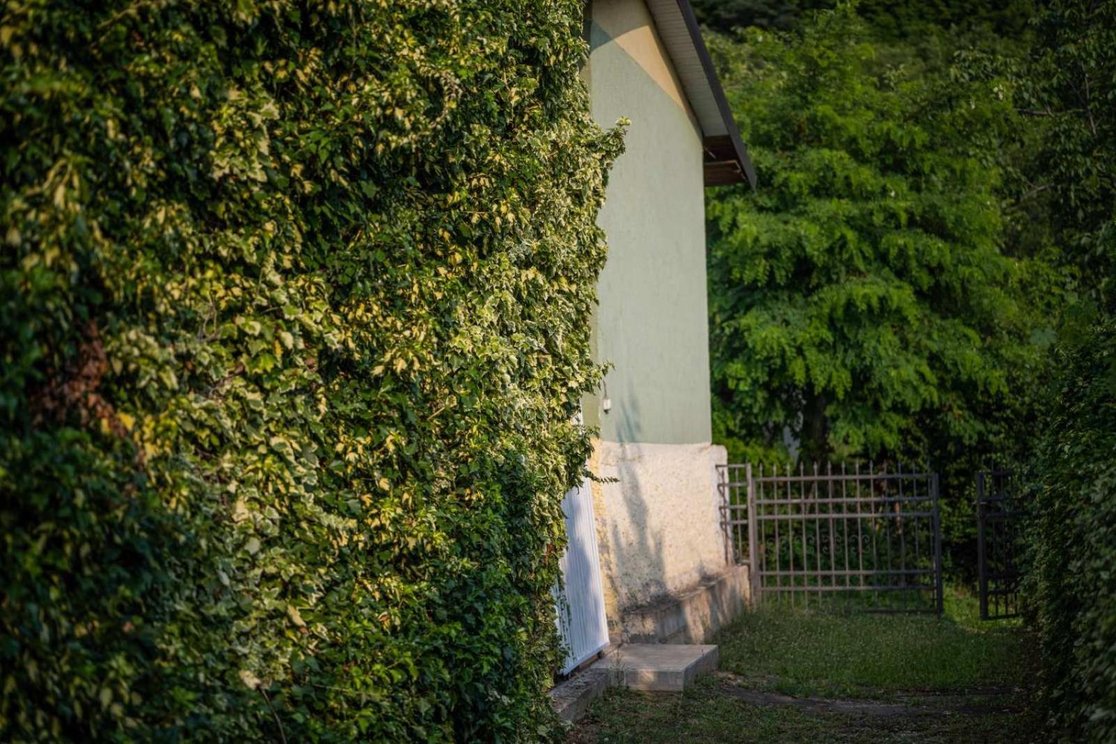 Vacation Home Rot Ohrid Exterior foto